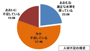 IT企業の8割が人材不足、特にプロジェクトマネジャー系で──JCSSA景気動向調査