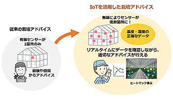 NTTテクノクロスとタキイ種苗、トマトの品質安定化に向け共同実験