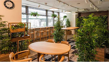 植物に囲まれた空間は仕事に影響を与えるか？　各社が検証を開始