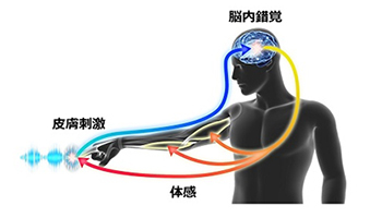 村田製作所、柔らかさや触り心地などを再現する技術のミライセンスを買収