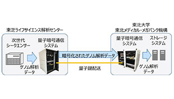 量子暗号通信技術で全ゲノム配列データの伝送に成功、東芝とToMMo