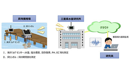 三重県水産研究所とNTTアグリテクノロジーなど、IoT活用による真珠養殖業の活性化プロジェクト