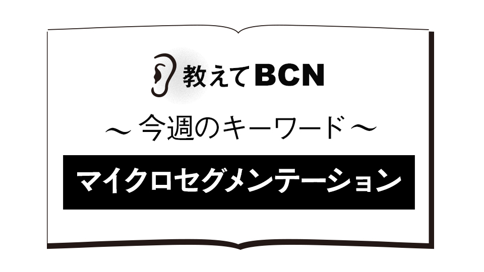 「マイクロセグメンテーション」の用語解説、メリット・デメリットは？