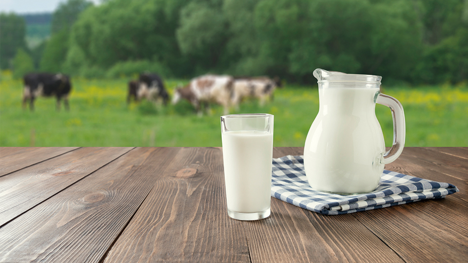 ＜今日は何の日＞6月1日『世界牛乳の日』