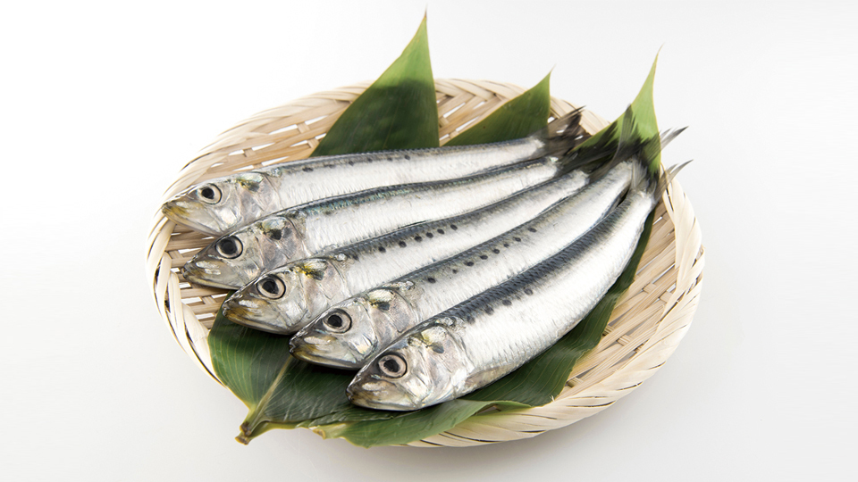＜今日は何の日＞10月4日『イワシの日』