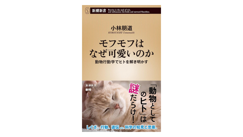 ＜BOOK REVIEW＞『モフモフはなぜ可愛いのか』