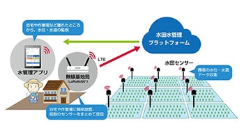 田んぼの水位をIoTで管理するシステム、IIJ