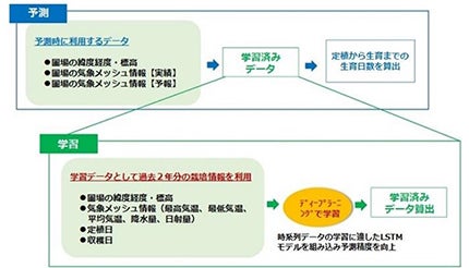 AIでレタスの生育予測、日立ソリューションズ東日本が実証