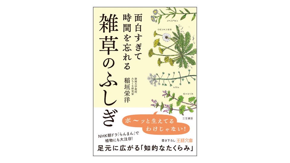 ＜BOOK REVIEW＞『面白すぎて時間を忘れる雑草のふしぎ』